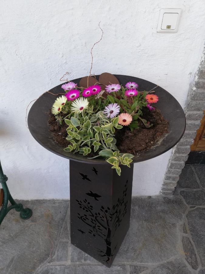 אייסלברג Fruehstueckspension Alpenrose Bed & Breakfast מראה חיצוני תמונה
